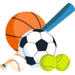 sports icon