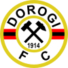 Dorogi FC Logo